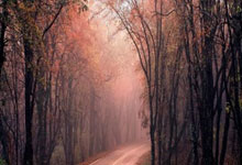 leyu乐鱼体育:自由式滑雪——国际雪联世界杯(利维尼奥站):女子空中技巧赛况.