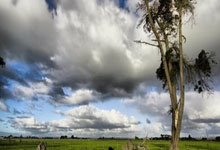 [中超]第3轮：青岛西海岸VS上海海港.