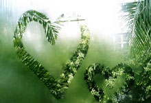 leyu乐鱼体育：辽篮虽跌至第六但无伤大雅，收官战发力必回四强，半决赛对手曝光.