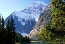 费兰问答：若夺冠将和鲨鱼一起游泳；若可以想签下穆西亚拉.